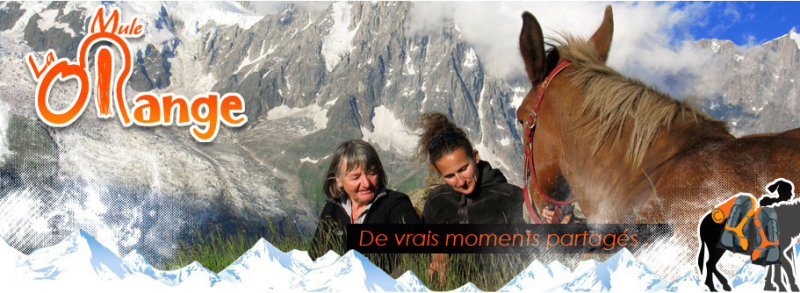 Logo La Mule Orange - Randonnées - Trekking dans les Alpes (France)