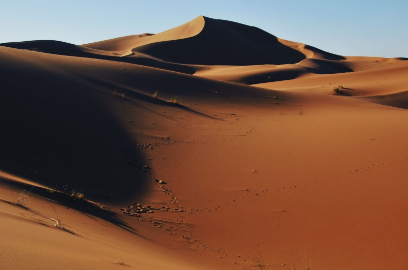 Logo Mélodie du désert, M'Hamid El Ghizlane (Maroc)